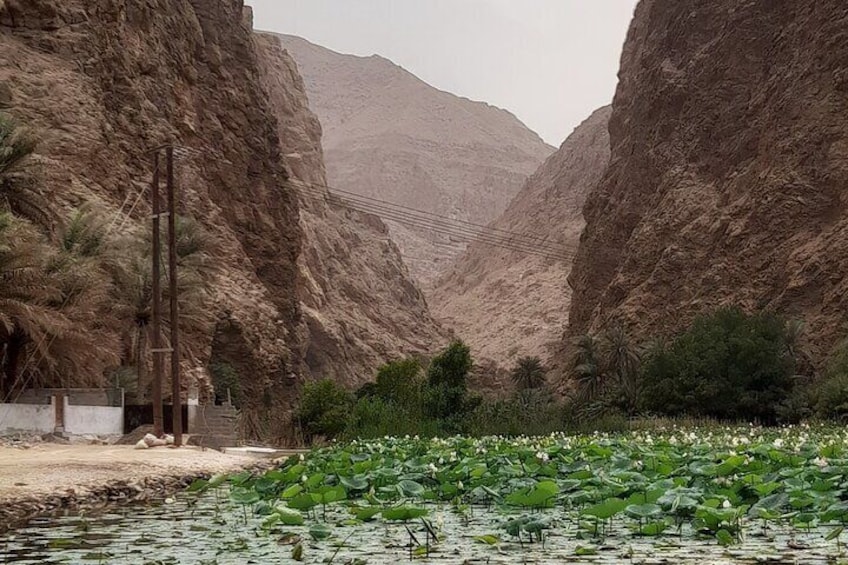 Valley in Oman to Starfall Basin Tour