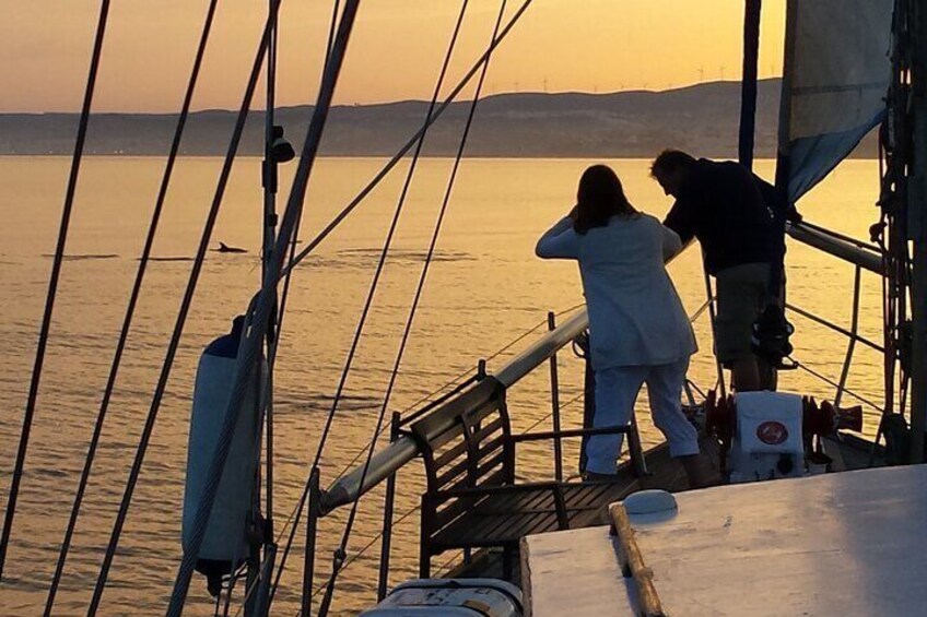 Sunset Sailing Experience in Estepona