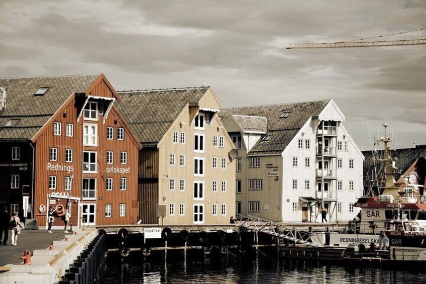 Tromso Sightseeing with E-Bike