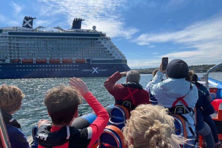 See the visiting Cruise ships up close and personal.