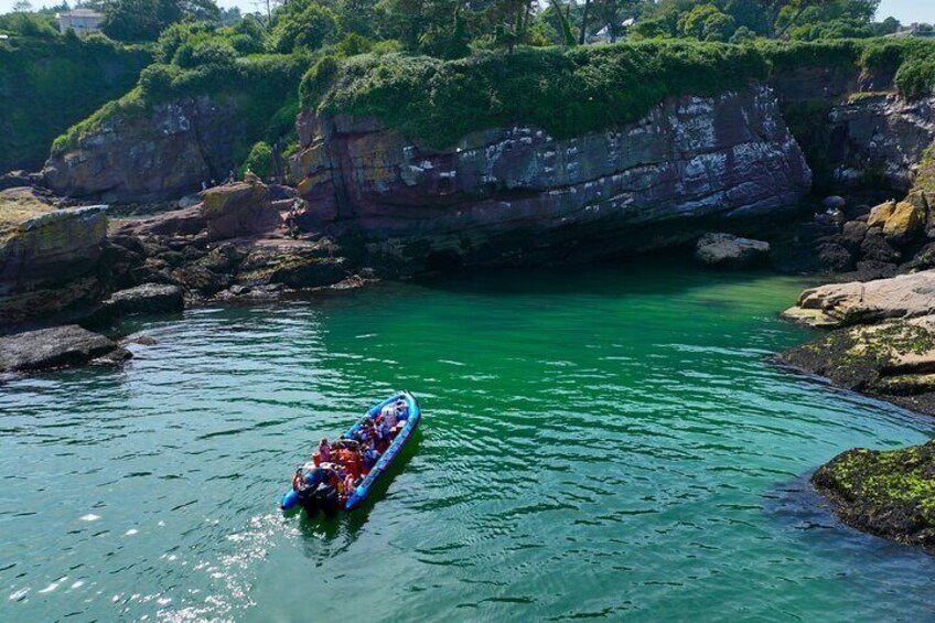 Kittiwake nesting sites in Dunmore East