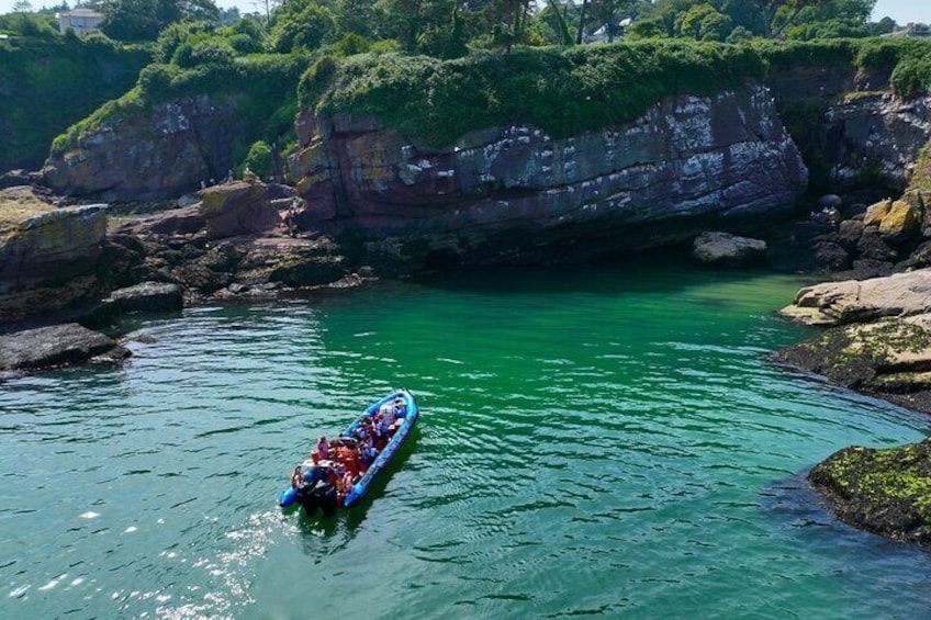 Kittiwake nesting sites in Dunmore East