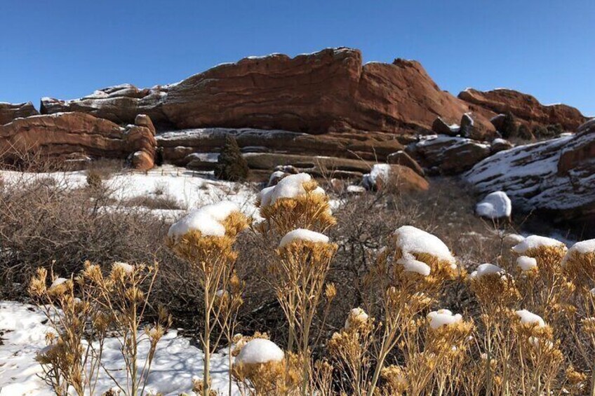  Red Rocks 2 Hour Walking Tour