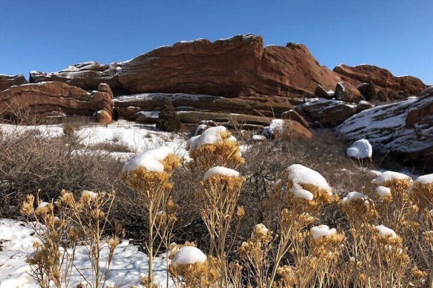 Red Rocks 2 Hour Walking Tour