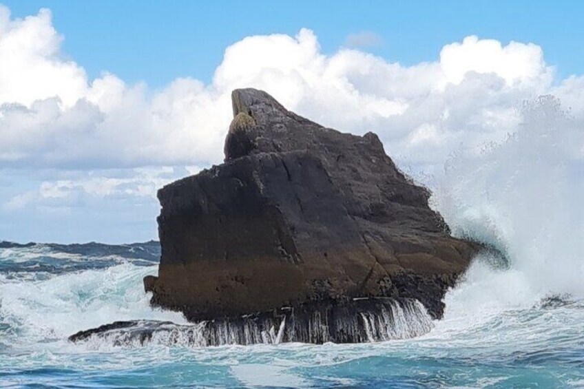 Blasket Island Sea Life Rib Tour,