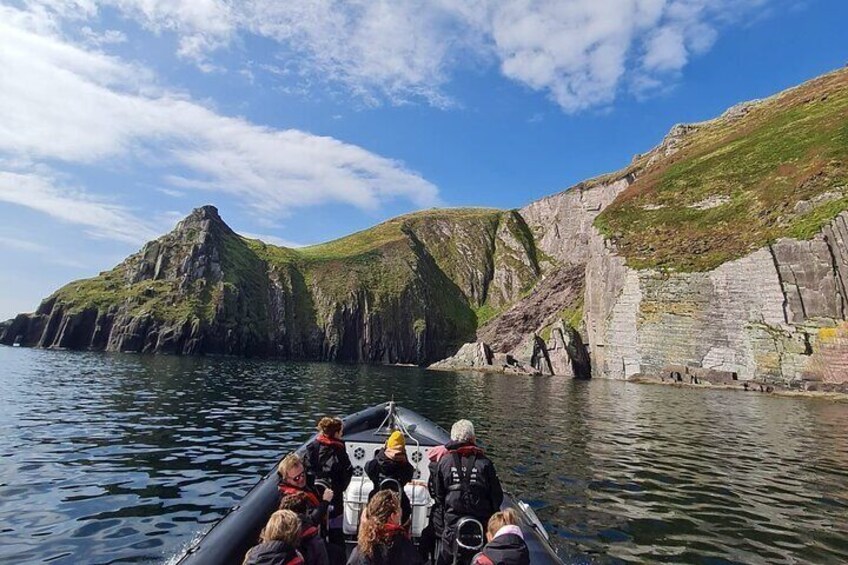 Blasket Island Sea Life Rib Tour,