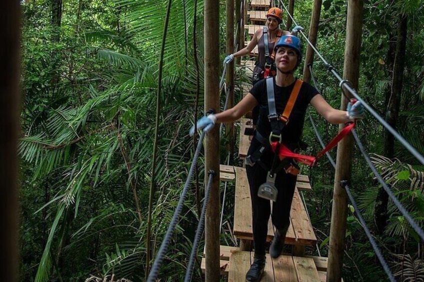 Ziplining Cape Tribulation with Treetops Adventures