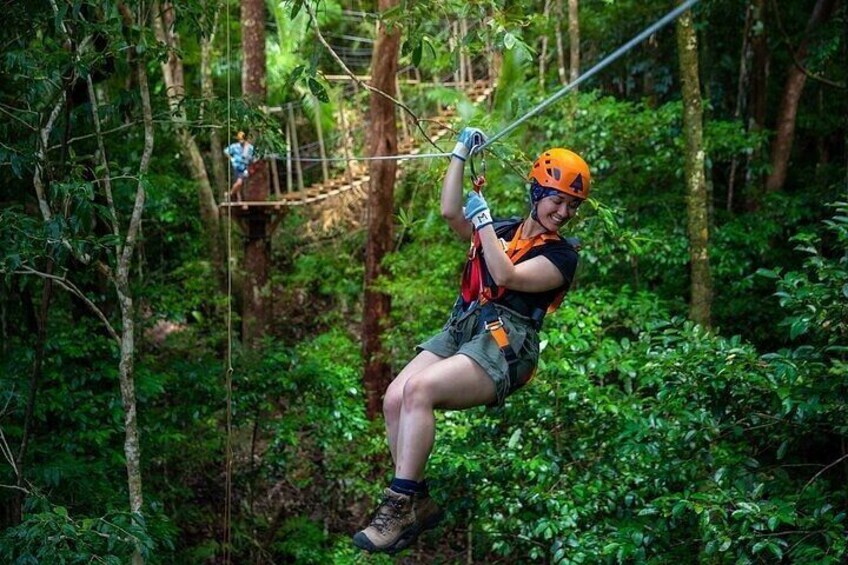 Ziplining Cape Tribulation with Treetops Adventures