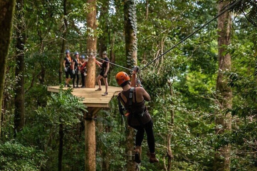 Ziplining Cape Tribulation with Treetops Adventures