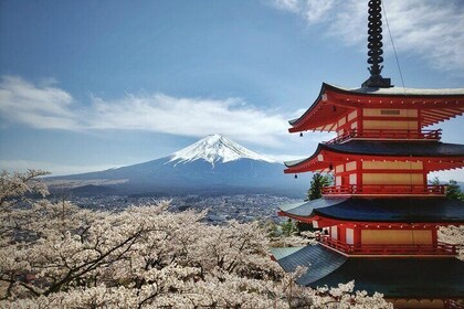 Full Day Tour to Mount Fuji with Guide in Spanish