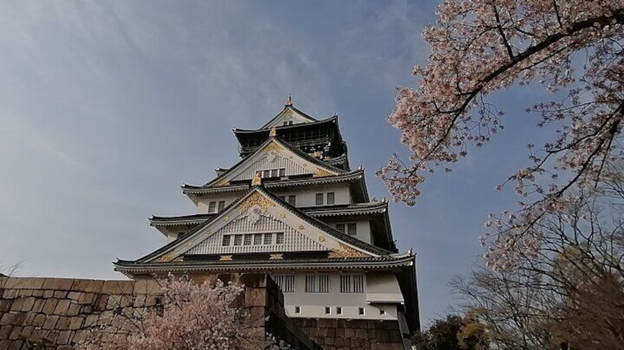 Walking Tour of Osaka's 5 Must-See Sights, with Ramen for Lunch