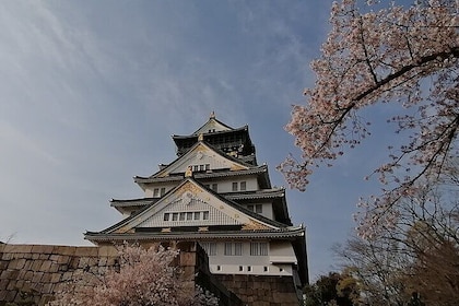 Walking Tour of Osaka's 5 Must-See Sights, with Ramen for Lunch