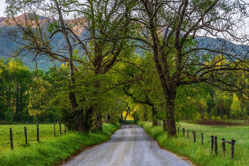 Blue Ridge-Shenandoah-Cades Cove & Great Smoky Self-Guided Bundle Tours