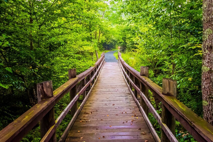 Blue Ridge-Shenandoah-Cades Cove & Great Smoky Self-Guided Bundle Tours