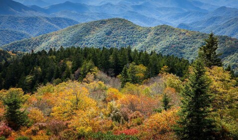 Rijtochten met gids door Great Smoky, Cades Cove, Shenandoah & Blue Ridge