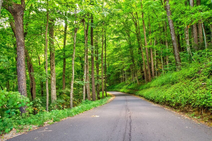 Appalachian Mountain Scenic Drives: Self-Guided Driving Audio Tour Bundle