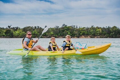 Sunset Kayak Eco Tour with Marine Scientist