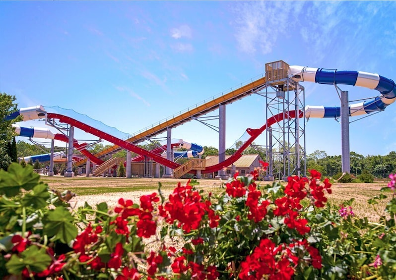 Splish Splash Water Park 1-day Tour