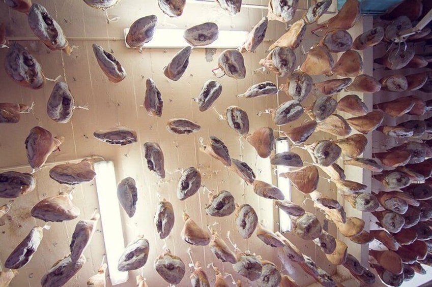 A ceiling of hundreds of IBAIALDE hams