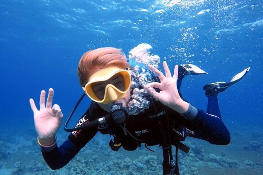 Private Scuba Diving Adventure in the Red Sea of Aqaba