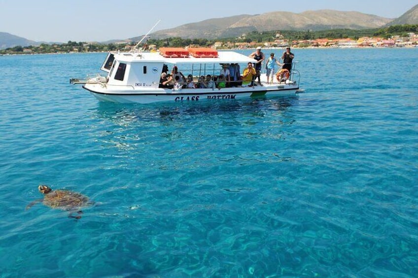 Zakynthos Marine Park with Turtles Spotting