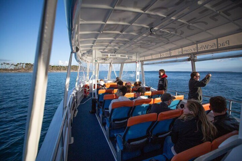 Hervey Bay Ultimate Whale Watching Cruise