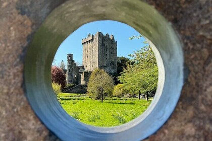 Award-Winning Private Tour of Blarney Castle, Kinsale and Cork