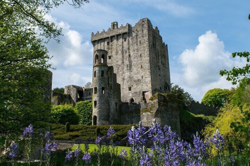 Blarney Castle