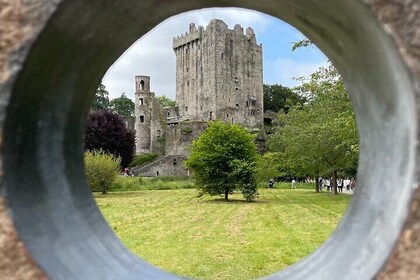 Private Chauffeur Tour of Blarney Castle, Kinsale and Cork