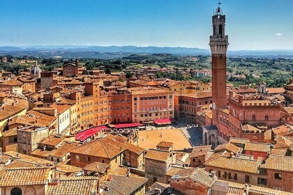 Siena: Guided tour of Siena INCLUDING the Cathedral or Museum