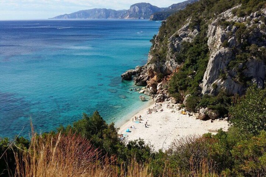 Snorkeling Experience to discover the dolphin inside you!