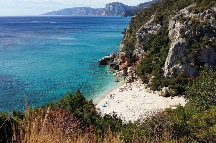 Snorkeling Experience to discover the dolphin inside you!