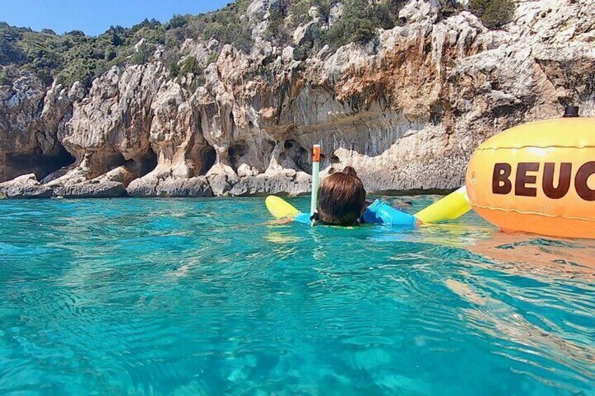 Snorkeling Experience to discover the dolphin inside you!