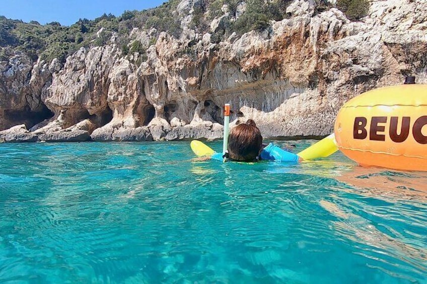 Snorkeling Experience to discover the dolphin inside you!