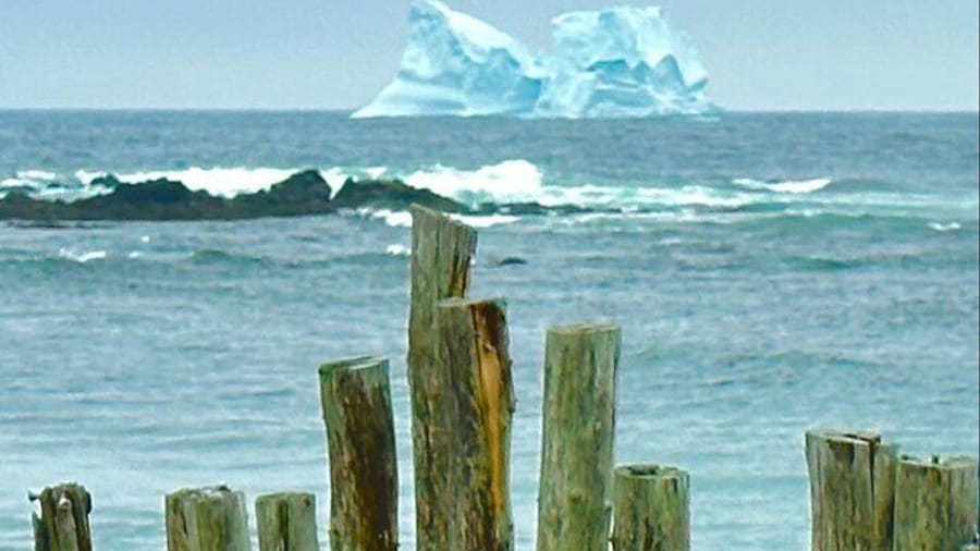 Iceberg off of Ferryland, NL