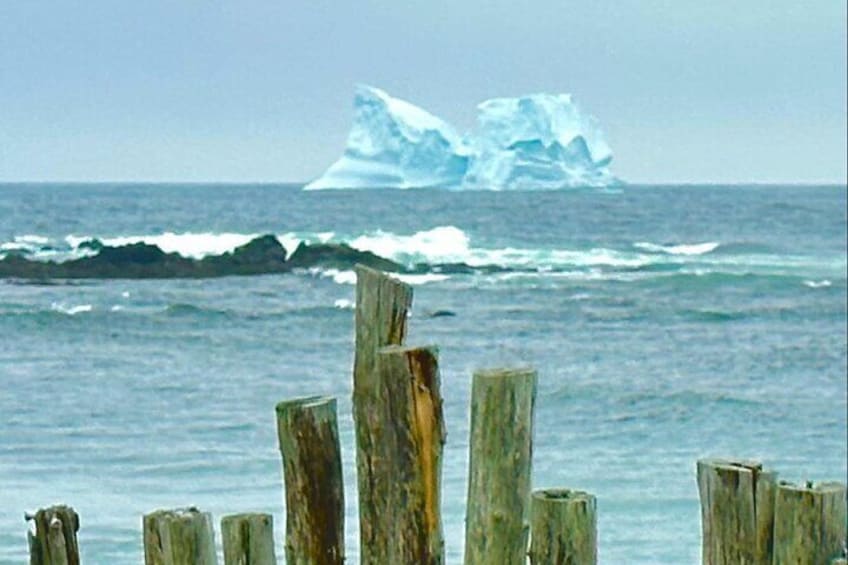Iceberg off of Ferryland, NL