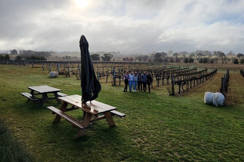 Full-Day Canberra Winery Tour to Murrumbateman /w lunch