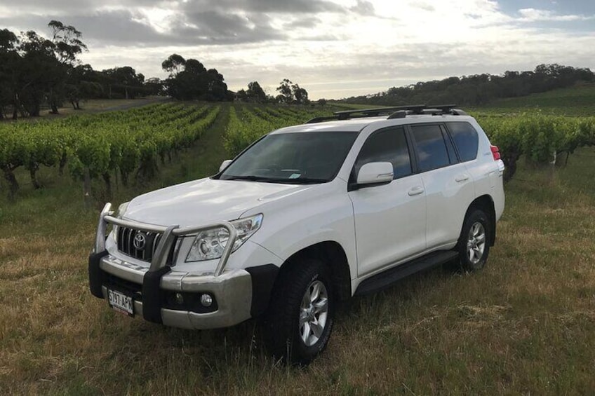 McLaren Vale at dusk