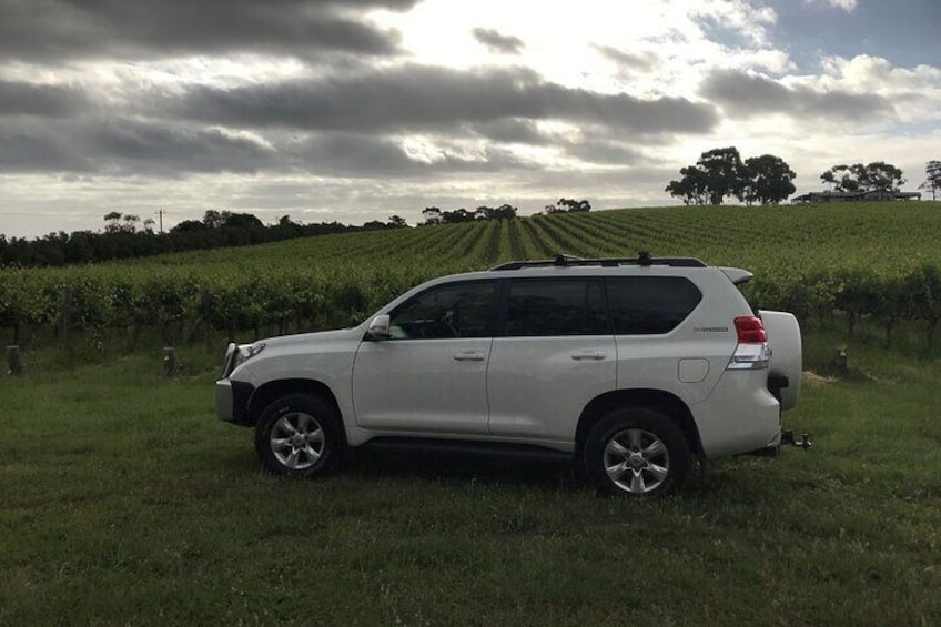 McLaren Vale at dusk