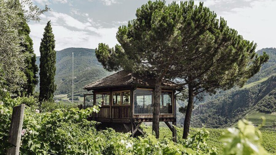 Guided winery tour with tasting in Bolzano at the SKYWINE PAVILLON
