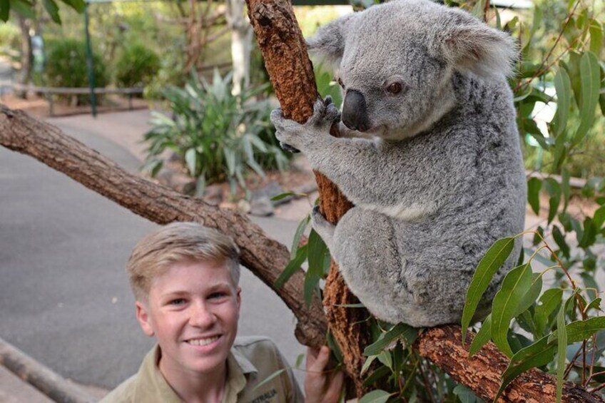 Small-Group Australia Zoo Day Trip from Brisbane