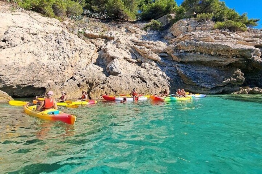 Guided kayak excursion in creeks