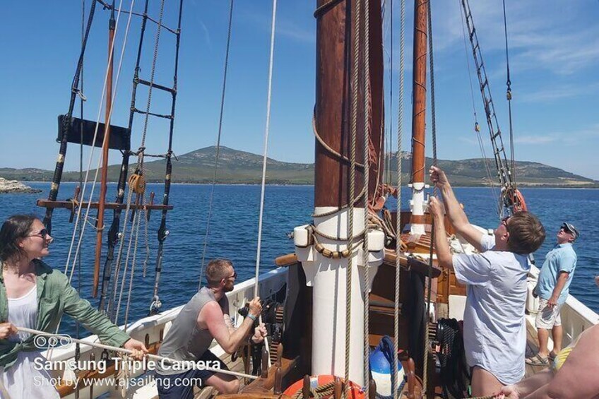 Andrea Jensen Sailing Day Cruise on a Traditional Ship with Lunch and Wines