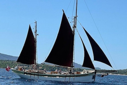 Sailing day trip on Tall Ship Andrea Jensen with Lunch and Wine