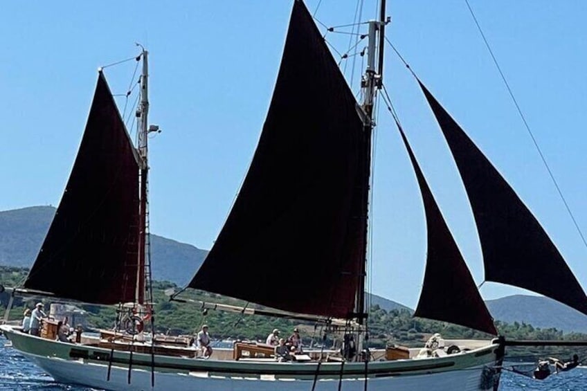Andrea Jensen Sailing Day Cruise on a Traditional Ship with Lunch and Wines