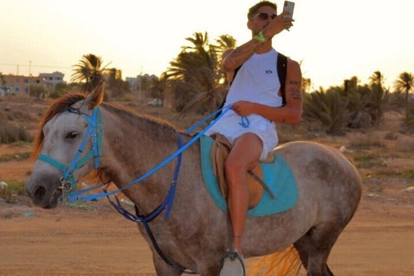 Explore Djerba with our four-legged friends