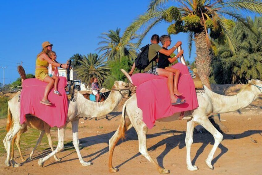 Explore Djerba with our four-legged friends