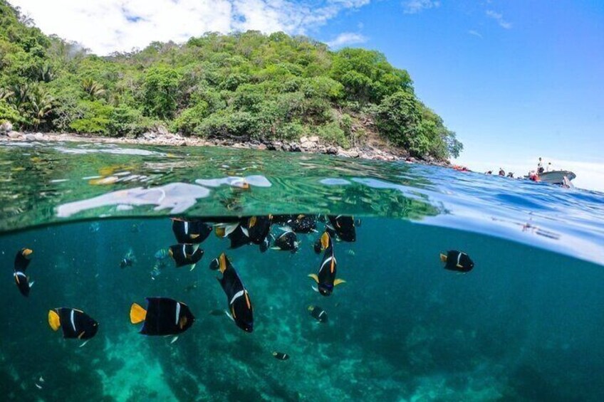 Boat and Snorkel Tour to 5 Islands of Los Arcos
