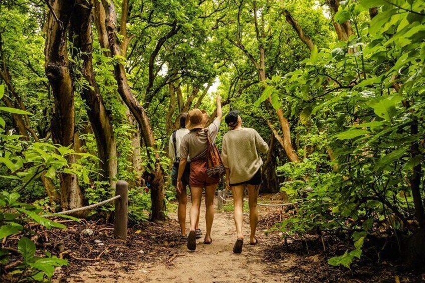 Guided walk through tropical forest on the island.