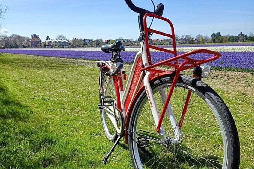 Highlight Bike Tours Haarlem